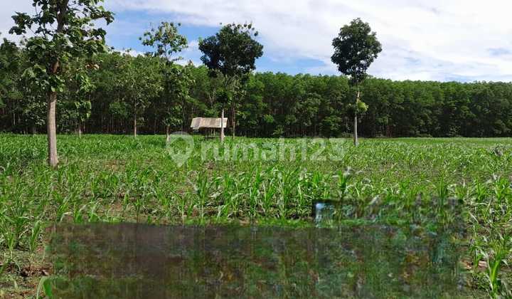 FOR SALE land in the Cimahi area, Caringin subdistrict, Garut city, WEST JAVA