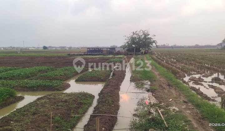 Dijual tanah zona kuning, peruntukan perumahan  - lokasi jalan raya utama sukarukun jagawana kecamatan sukatani perbatasan cikarang utara