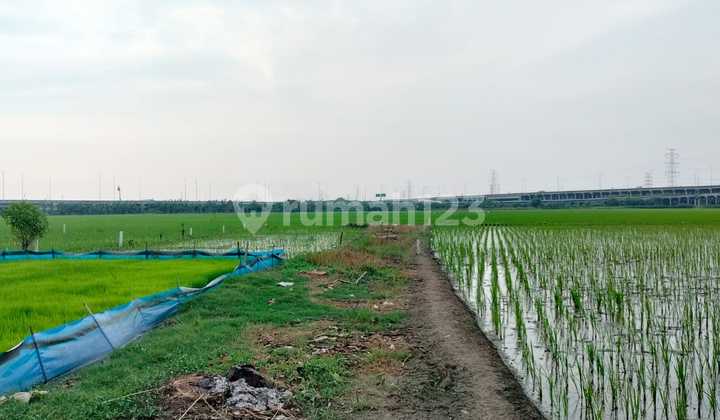 For sale, strategic land located in the heart of Gabus Bekasi, just 500 meters from the Gabus Tambun Utara toll exit.
