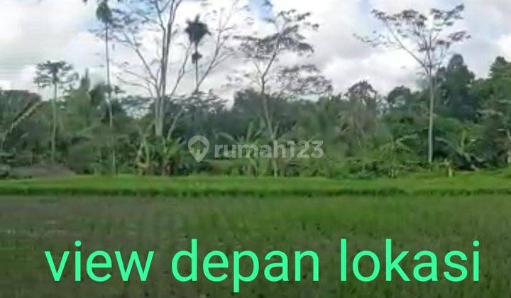 Tanah Murat Di Tabanan Vagus Untuk Investasi 1