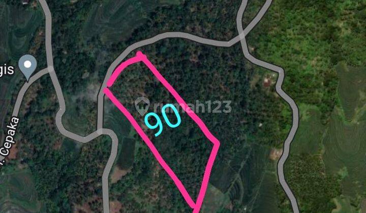 Tanah Murat Di Tabanan Vagus Untuk Investasi 2