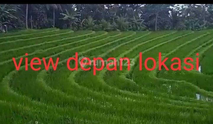 Tanah Murat Di Tabanan Vagus Untuk Investasi 6