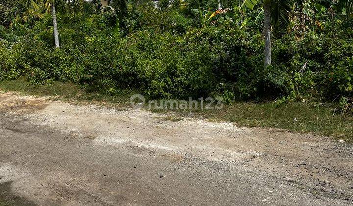 Tanah Potensial, 3 Menit Dari Pantai Balangan, 2 Are , SHM 2