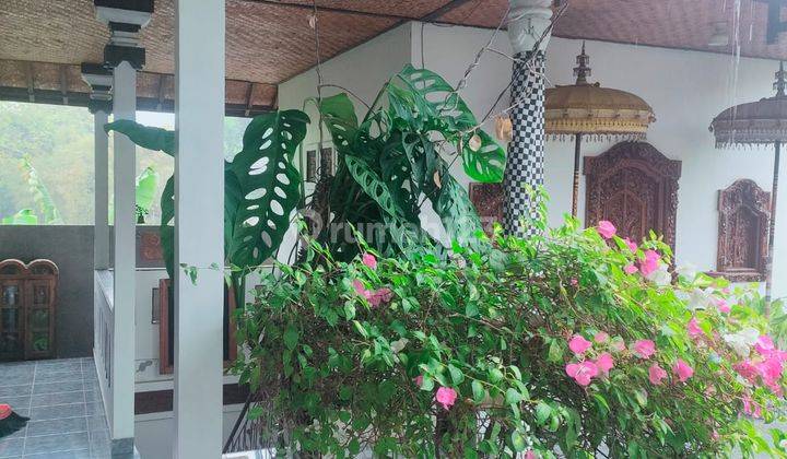 Jual Cepat Butuh Uang Ada View Sungai  2