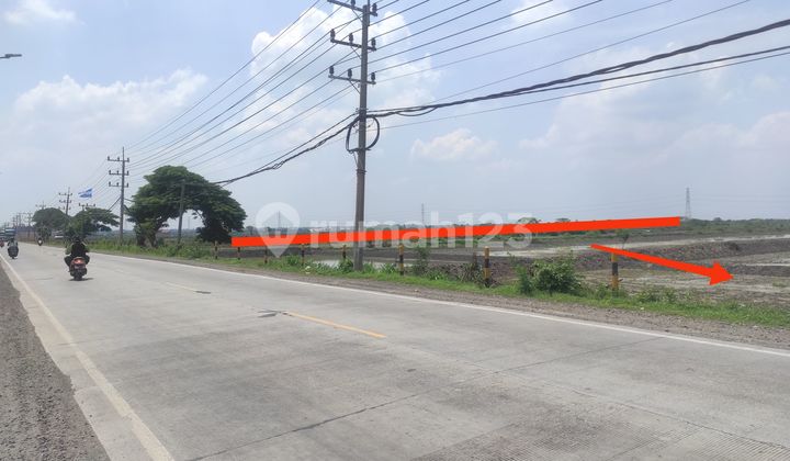 DIJUAL TANAH INDUSTRI DI RAYA CERME (NOL JALAN RAYA KABUPATEN) - GRESIK 2
