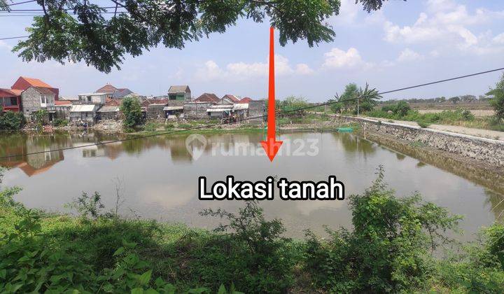 DIJUAL TANAH KOMERSIAL DI DUDUK SAMPEYAN (NOL JALAN RAYA PROVINSI GRESIK - LAMONGAN) - GRESIK 1