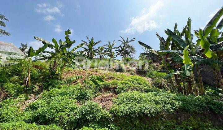 TANAH DI GAJAHMUNGKUR DENGAN VIEW YANG CANTIK 2