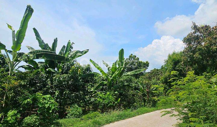 Pemandangan Laut Cocok Untuk Villa Dan Perkebunan  2