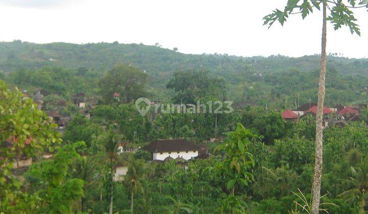 Land for sale at Nusa penida 2