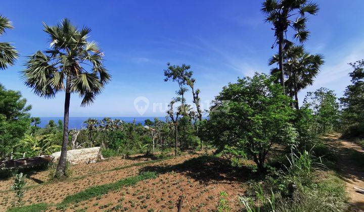 Tanah kebun BUC cocok untuk investasi 9