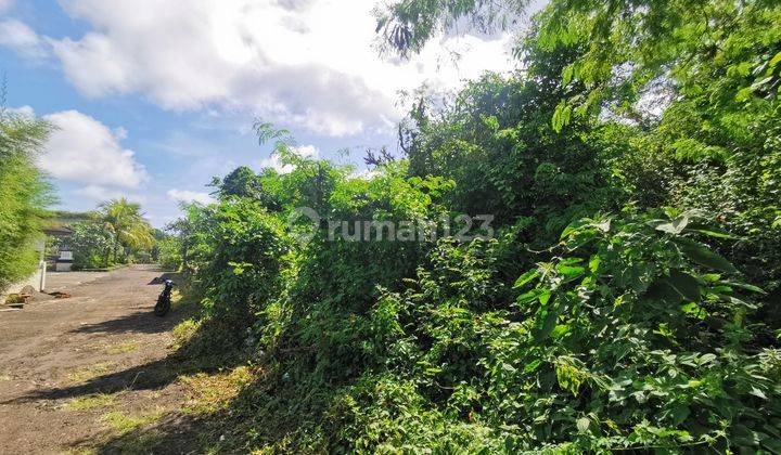 Land in resort area 4