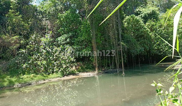 Leasehold house River view 16