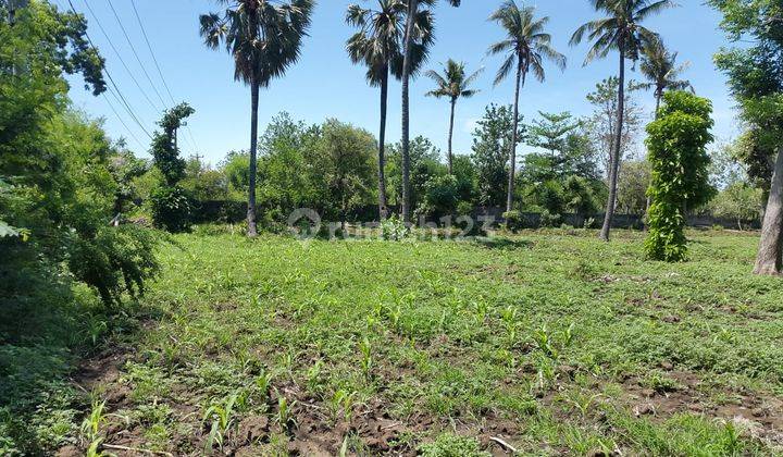 LAND For sale View ocean at tourism bussines area 2