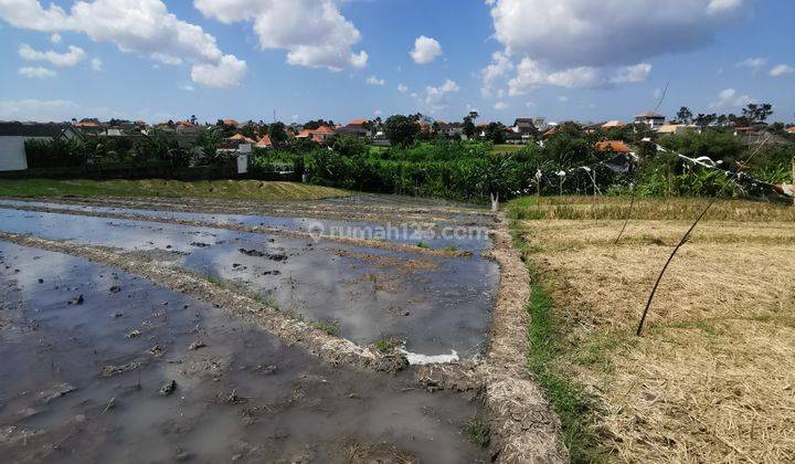 Land for lease At canggu near batubolong 1