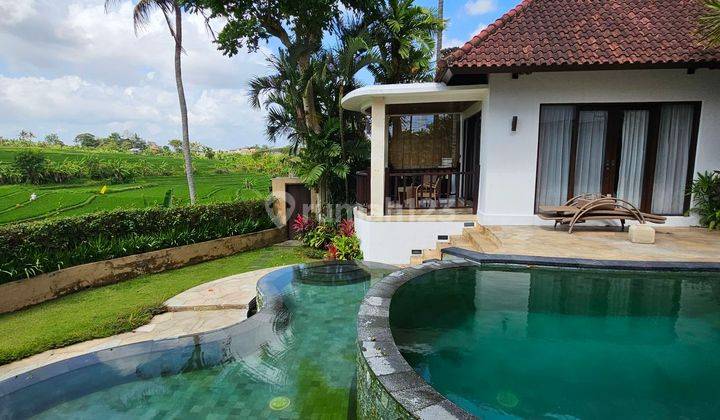 Dijual villa view padi di tumbakbayuh  1