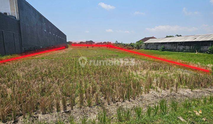 Disewakan tanah daerah sempidi cocok untuk Gudang 2