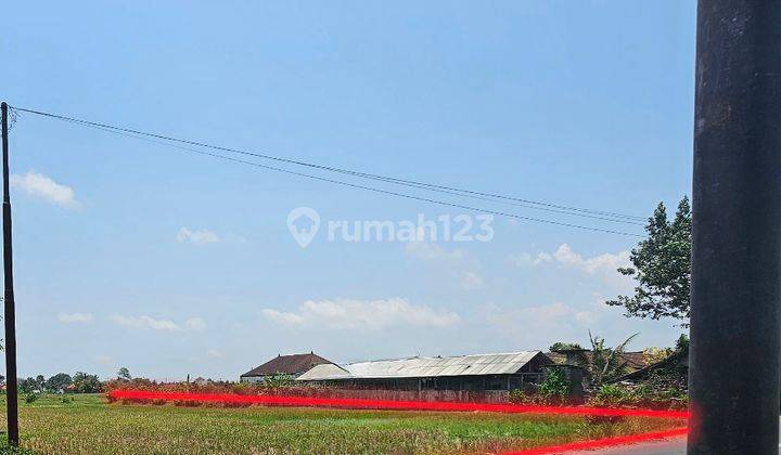 Disewakan tanah daerah sempidi cocok untuk Gudang 1