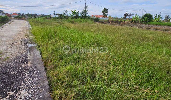 Land for lease At canggu near batubolong 2