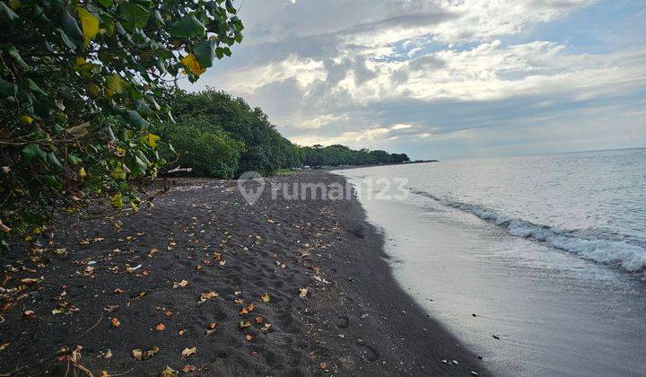 Dijual tanah pinggir pantai dekat kota singaraja  2