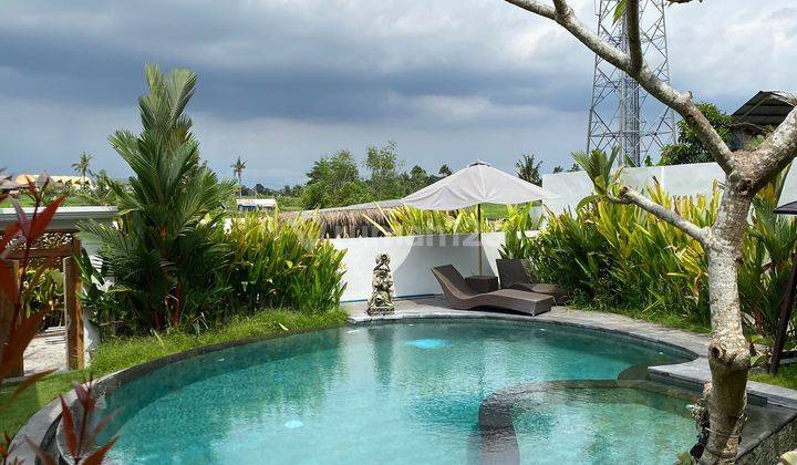 Villa For Rent Daily Weekly Montly In Canggu 2