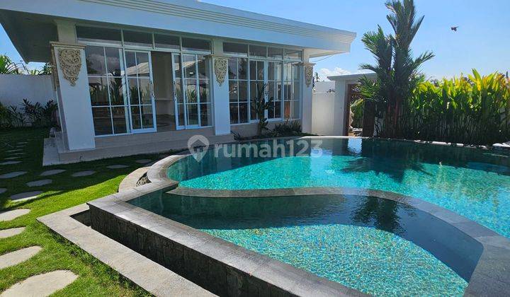 Villa For Rent Daily Weekly Montly In Canggu 2