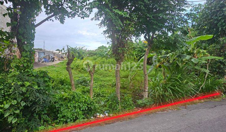 Land for lease near seminyak and international school 2