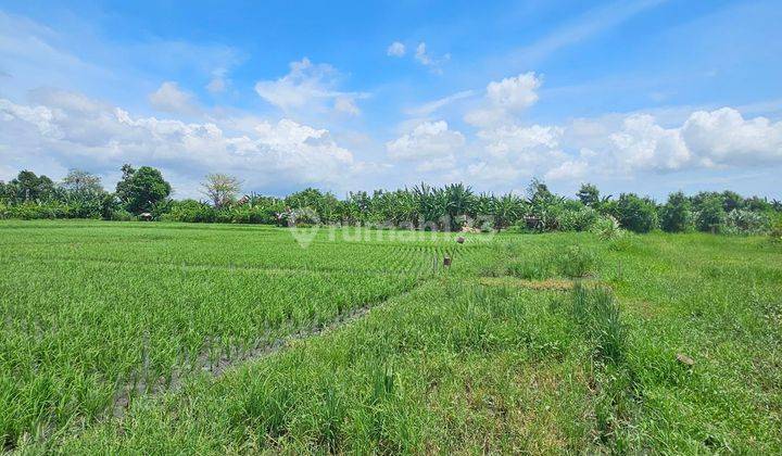 Land For Lease In Seminyak Near Sunset Road And Near Public Area 2