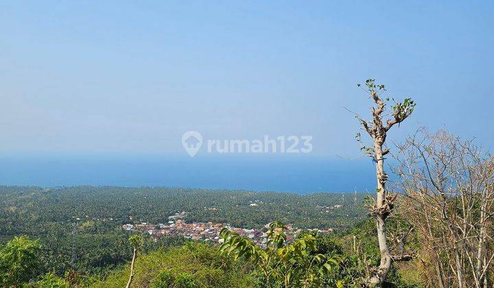 View Ocean From The Hill And Jungle In Quet Area 1