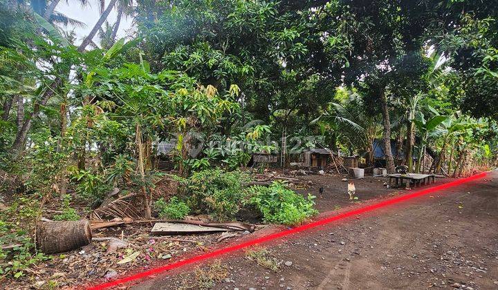 Lease Hold Land Ocean View In Tejakula Distric  2