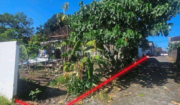 Yelow Zone Near Canggu And Publik Area Very Cheap 2