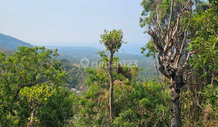 View Ocean From The Hill And Jungle In Quet Area 2