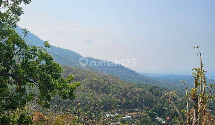 View Ocean From The Hill And Jungle In Quet Area 2