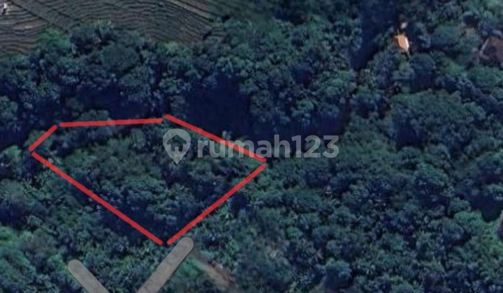 Jungle And River Side Near Canggu And Tumbak Bayuh