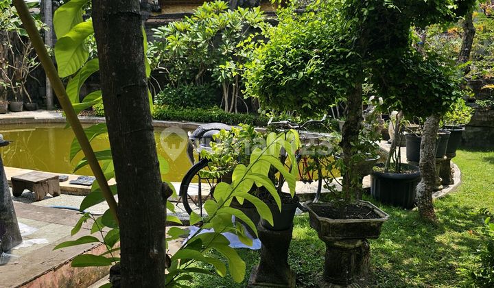 Can Lease 30 Years At Seminyak Near The Beach Can Lease 30 Years At Seminyak Near The Beach