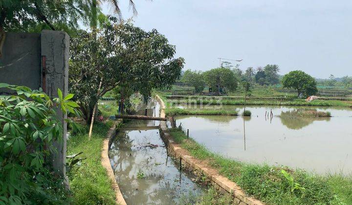 Tanah Zona Hunian di Ciseeng Kab Bogor 2