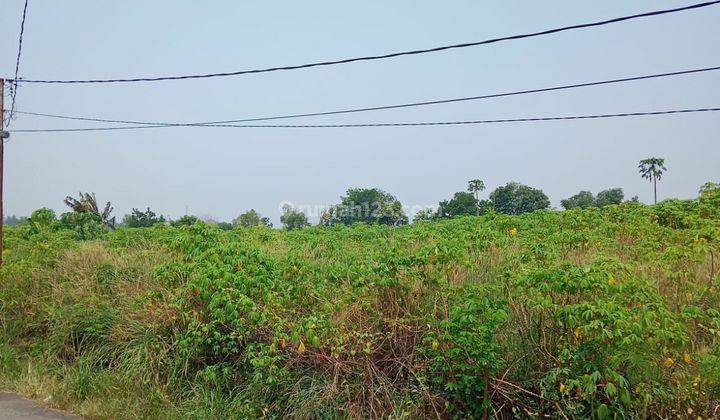 Tanah Murah Strategis di kota Pekanbaru  2