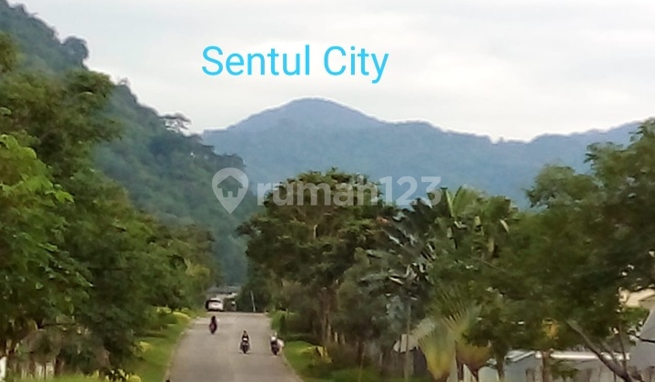 Rumah mewah d jual murah