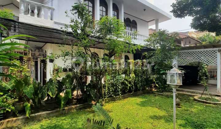 Rumah Lama Dilokasi Yang Bagus Dan Primear Dijual Cepat Rumah Lama Dilokasi Yang Bagus Dan Primear Dijual Cepat