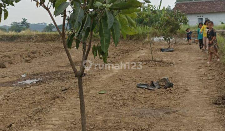 Tanah Murah SHM strategis di Cibarusah  2