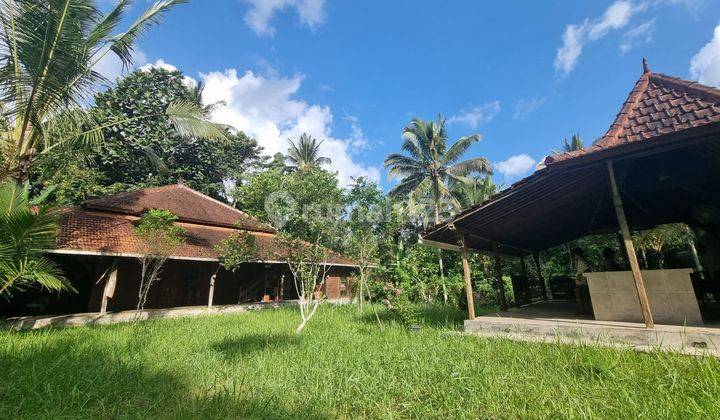 Freehold Land For Sale Bonus Joglo House In Penebel, Tabanan  1