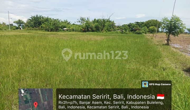 For Sale Land with Lovina Beach View, Buleleng For Sale Land with Lovina Beach View, Buleleng