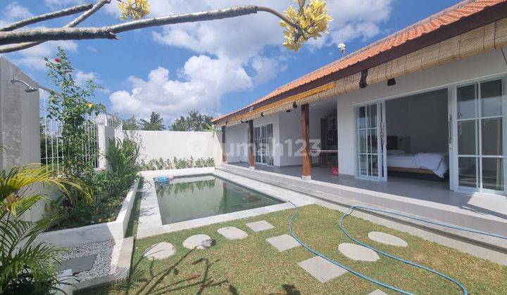 Brand New Villa For Rent Yearly At Cemagi Near Canggu 2