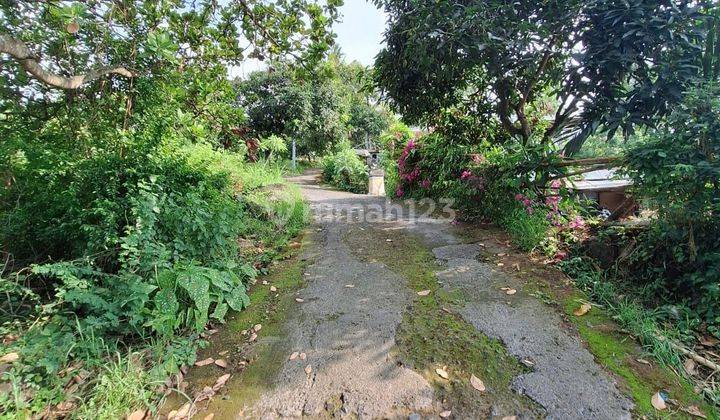 Freehold Land For Sale di Buleleng Dekat Lovina 2