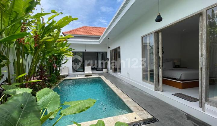 For Monthly Rent 2 Bedrooms Villa In Umalas