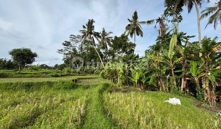 For Sale Tanah 10 Are Di Pejeng Ubud, Bali 