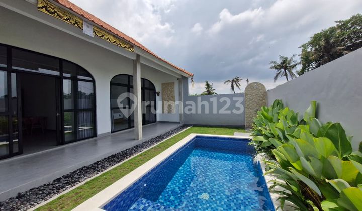 For Rent Brand New Villa In Munggu, Mengwi For Rent Brand New Villa In Munggu, Mengwi
