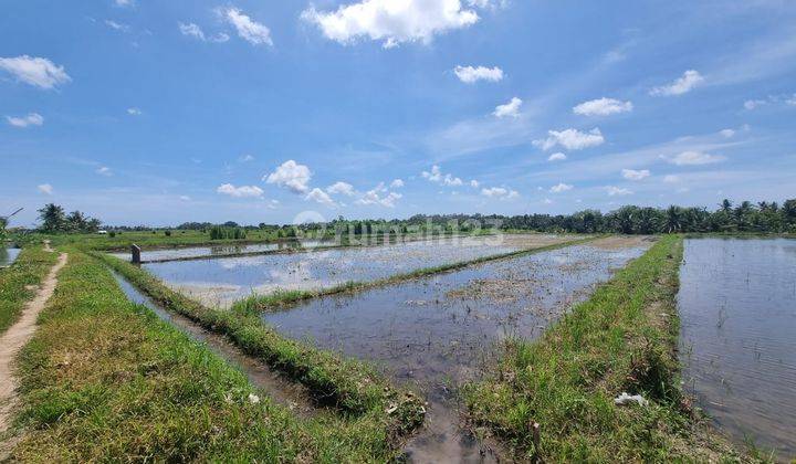 Freehold Land For Sale, Located At Penarungan, Mengwi 1