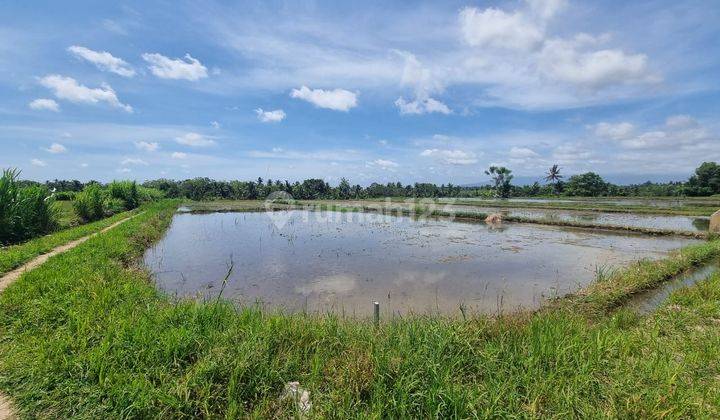 Freehold Land For Sale, Located At Penarungan, Mengwi 2