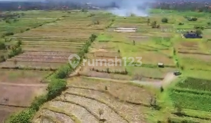 For Sale 22 Hectares of Land in Blahbatuh, Gianyar
