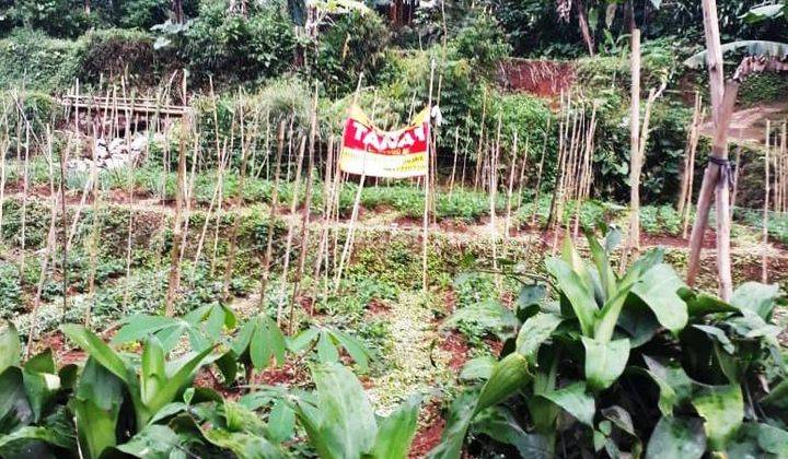 Jualcepat Via Lelang Tanah Murah Jl.raya Cianjur Cipanas, Cijedil 2